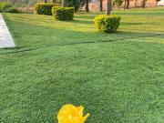 Casa en Morelos de Fin de Semana