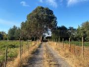 Casa en Parcela Aurora