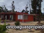 Casa en Parcela en Foresta de Zapallar, acogedora y luminosa