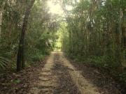 Casa en Paseo Silvestre, Bacalar