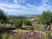 CASA EN PLANTA BAJA CON TERRENO Y VISTAS AL MAR!