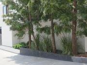 Casa en privada Pueblo San Nicolás Totolapan Venta