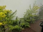 Casa EN PRIVADO CERCA UVAQ Y VALLADOLID, 4 RECAMARAS