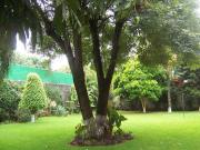 Venta de casa en Ahuatepec Cuernavaca