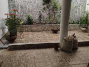 Casa en Puerto Morelos