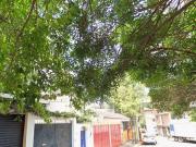 CASA REMATE BANCARIO COPILCO COYOACAN CDMX