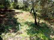 CASA EN RENTA, ACATITLÁN, VALLE DE BRAVO