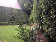 Casa en Renta Amueblada y Equipada, Santa Cruz...