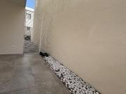 Casa en renta Cumbres San Agustin