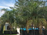 Casa en Renta de Un piso, zona Norte Aguascalientes Casa en Renta de Un piso, zona Norte Aguascalientes