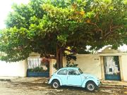Casa en renta en 60 Norte, Mérida, Yucatán