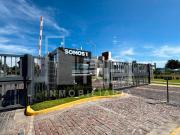 CASA EN RENTA EN AMRANTO RESIDENCIAL ZAPOPAN