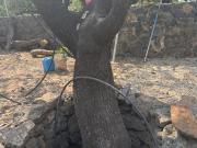 Casa en Renta en Carmen Tepoztlán