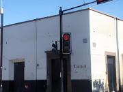 Casa en Renta en Centro Histórico de Querétaro con uso...