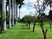 Casa en Renta en Centro, Yautepec, Morelos