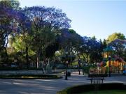 Casa en renta en Del Valle Centro, Benito Juárez, Ciudad...