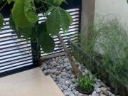 Casa en renta en El Barro, Monterrey, Nuevo León