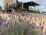 CASA EN RENTA EN EL CORAZON DEL VALLE DE GUADALUPE