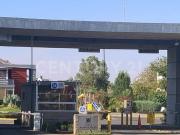 Casa Amueblada En Renta En El Fortin, Zapopan. DV 89E10