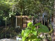 Casa en renta en Francisco Uh May, entorno totalmente...