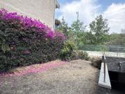 Casa en renta en Jardines en la Montaña, Tlalpan, Ciudad...