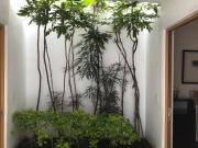 Casa en renta en Juriquilla Santa Fe, Querétaro