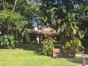 Casa en renta en Las Fincas, Jiutepec, Morelos