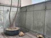 Casa en renta en Lindavista Norte, Gustavo A. Madero,...