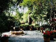CASA EN RENTA EN LOMAS DE CHAPULTEPEC