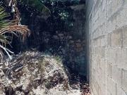 Casa en Renta en Mérida Centro, Mérida, Yucatán