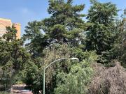 CASA EN RENTA EN POLANCO