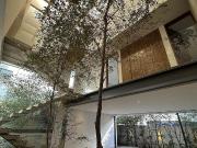 Casa en Renta en Puerta Las Lomas – Exclusividad, Lujo y...