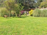 Casa en renta en San Andrés Totoltepec, Tlalpan, Ciudad...