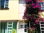 Casa en renta en San Lorenzo Tepaltitlán Centro, Toluca,...