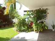 Casa en renta en Sitio del Sol, Cuautla, Morelos