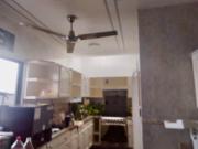 CASA EN RENTA FRACC REFORMA