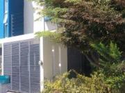 CASA EN RENTA FRACCIONAMIENTO VILLA FONTANA RESIDENCIAL...