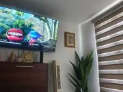 Casa en Renta una planta en Viñedos 2 recamaras, no...