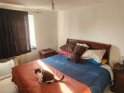 Casa en San Bernardo