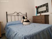 Casa en Serón con seis habitaciones, terraza y sótano