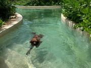 CASA EN TULUM DE 3 HABITACIONES CON TERRAZA EN VENTA