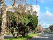 Casa en Valdivia