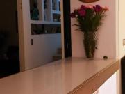 Casa en venat en Fraccionamiento Dubai Xochitepec, Morelos