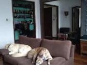 Casa en venta 3 Dormitorios 2 Baños Cochera 320Mts2 Barracas