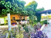 Casa en venta Albatera