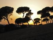 Casa en venta Alcalá de Guadaira