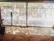 CASA EN VENTA APODACA BALCONES DE STA ROSA