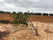 Casa en venta Bollullos par del Condado