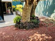 Casa en Venta Bosque de las Lomas