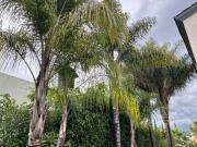 Casa en Venta Bosque Esmeralda